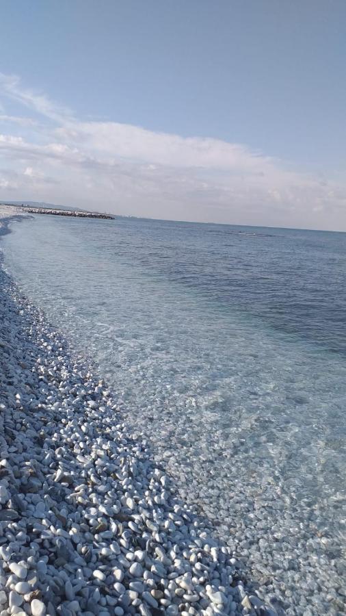 Hotel Affreschi Sul Mare à Marina Di Pisa Extérieur photo